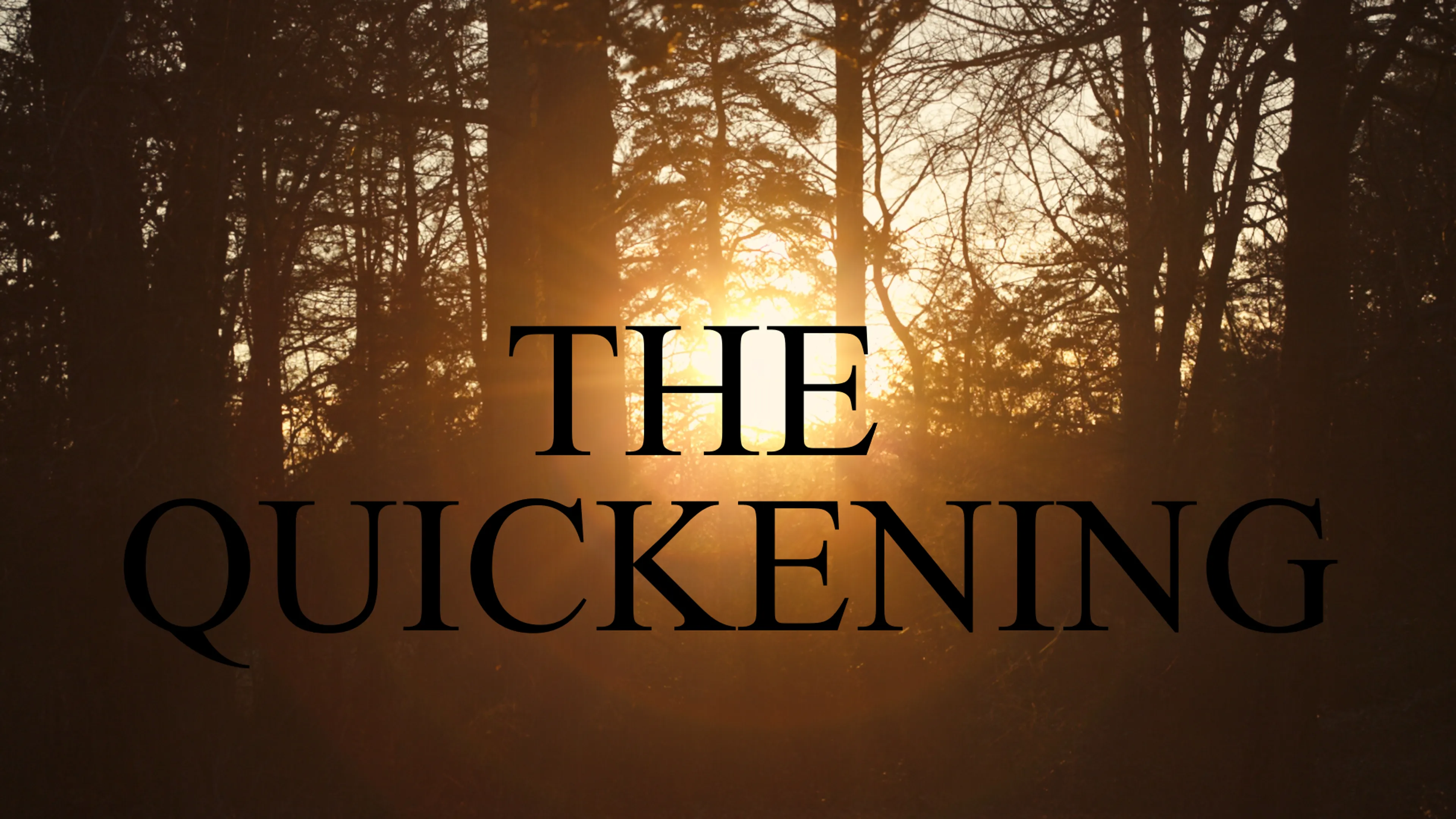 The Quickening poster